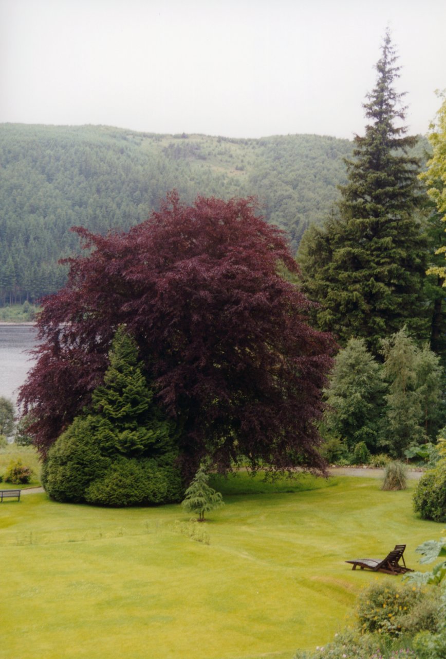 A and M trip Dalehead at Thirlmere 7-10-99